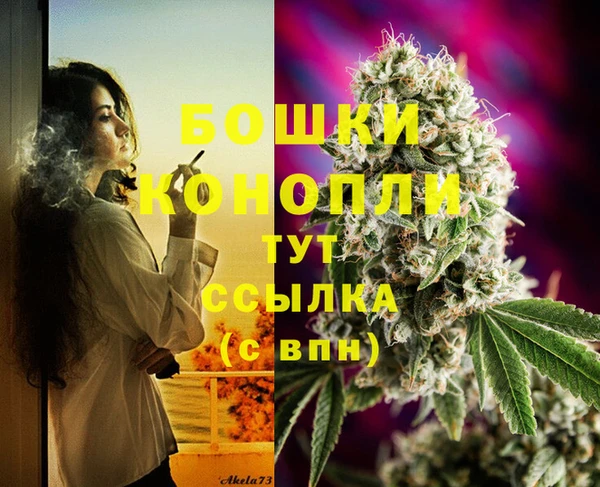 ГАЛЛЮЦИНОГЕННЫЕ ГРИБЫ Осинники