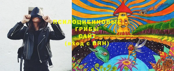 прущий лед Осташков