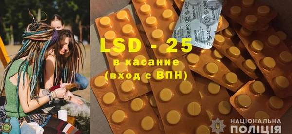 ГАЛЛЮЦИНОГЕННЫЕ ГРИБЫ Осинники